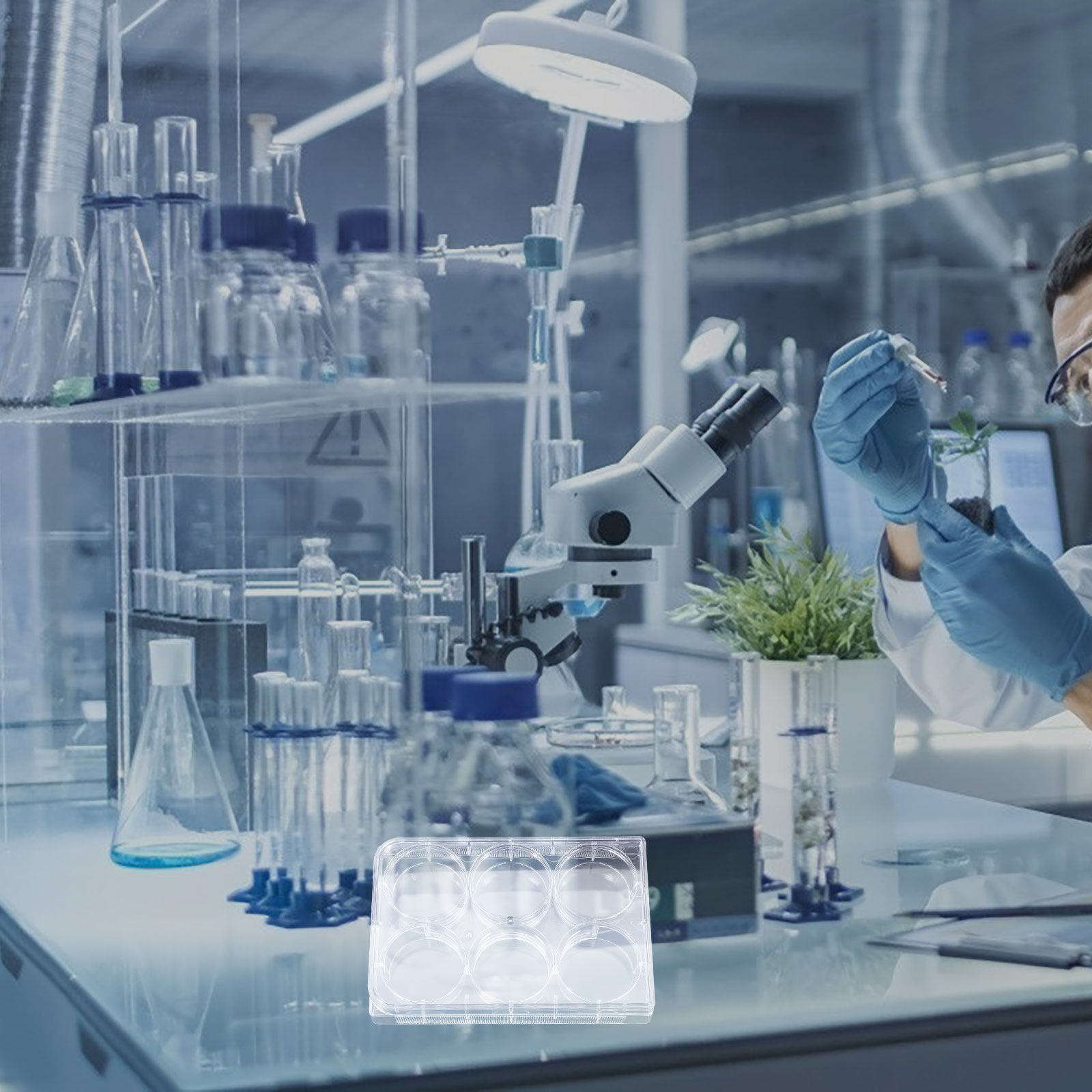 Tissue Culture Plate 6 Wells S - огляд і ціна Lab Equipment